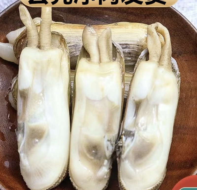 双头蛏去壳蛏子肉小人仙蛏王肉