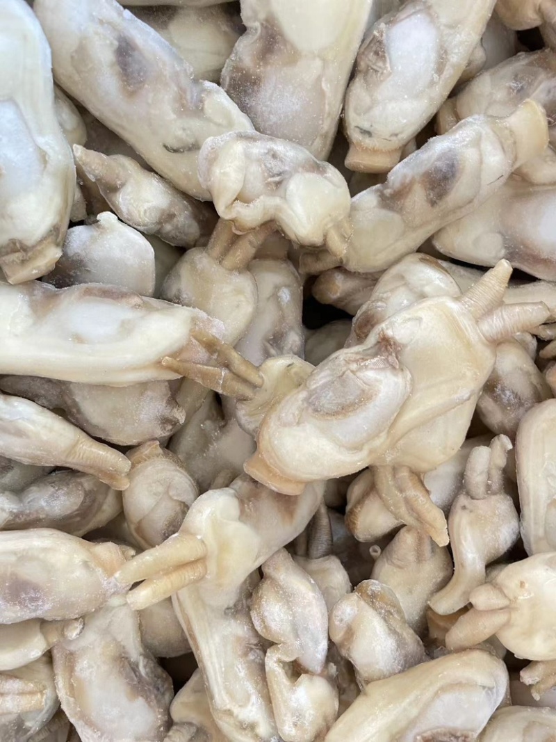双头蛏去壳蛏子肉小人仙蛏王肉
