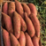 【红薯】西瓜红精品湖北直供色泽诱人对接市场电商欢迎电联