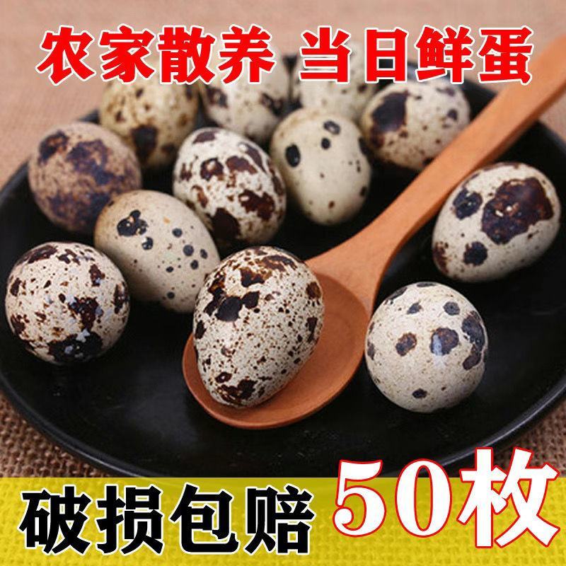 【成年卤料】新鲜农家包邮鹌鹑蛋严选网红鹌鹑蛋一整箱小包装