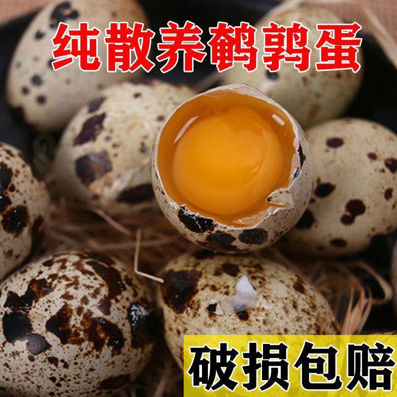 【成年卤料】新鲜农家包邮鹌鹑蛋严选网红鹌鹑蛋一整箱小包装