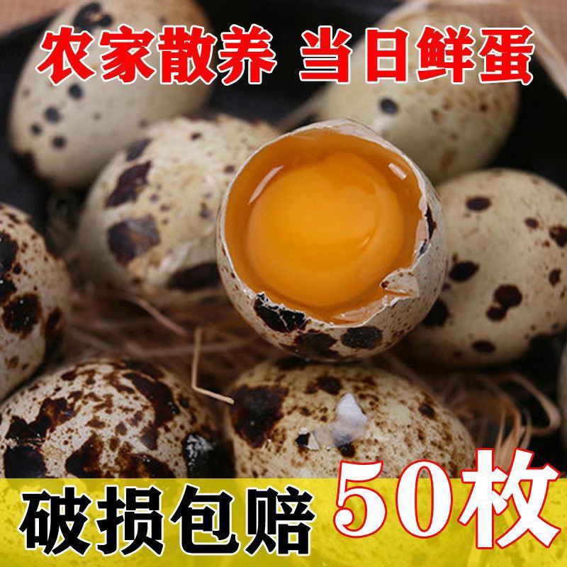 【成年卤料】新鲜农家包邮鹌鹑蛋严选网红鹌鹑蛋一整箱小包装