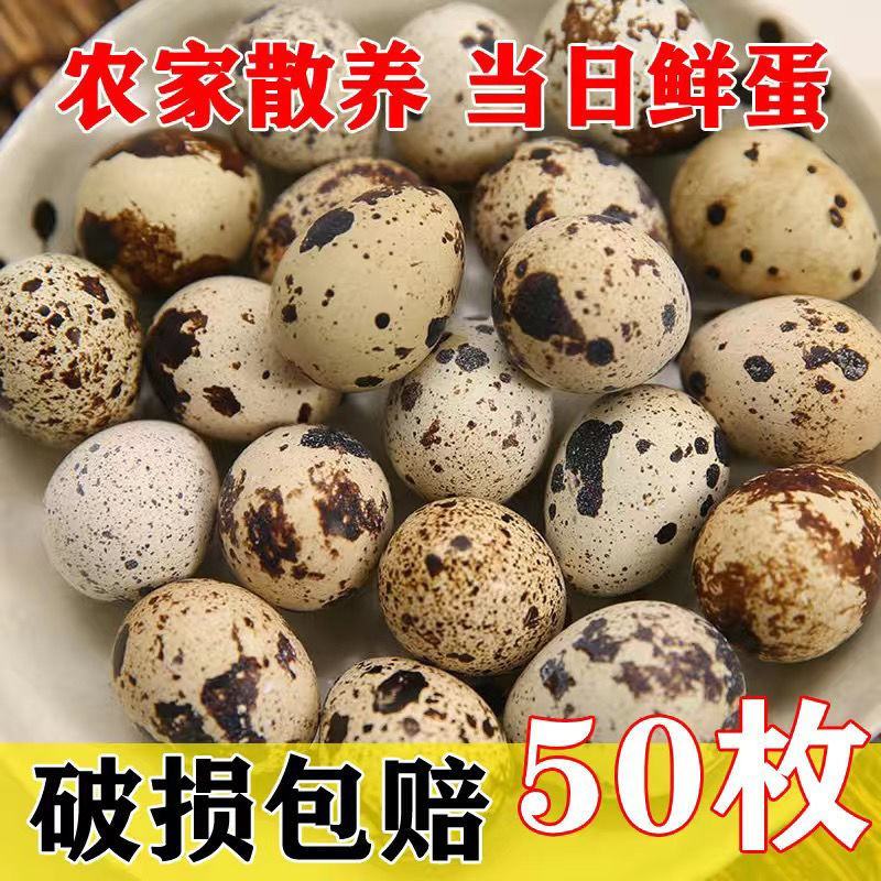 【成年卤料】新鲜农家包邮鹌鹑蛋严选网红鹌鹑蛋一整箱小包装