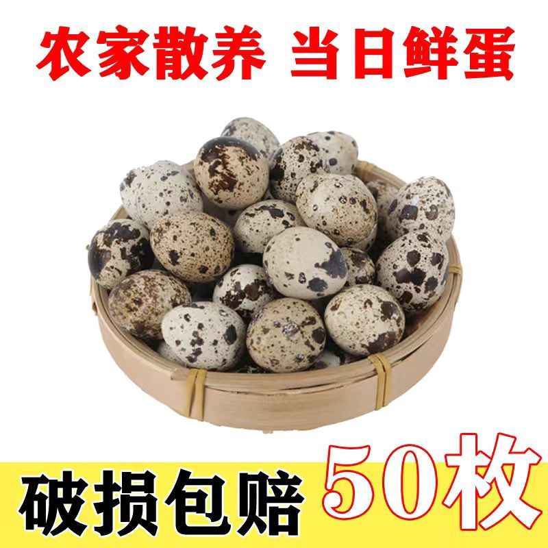 【成年卤料】新鲜农家包邮鹌鹑蛋严选网红鹌鹑蛋一整箱小包装