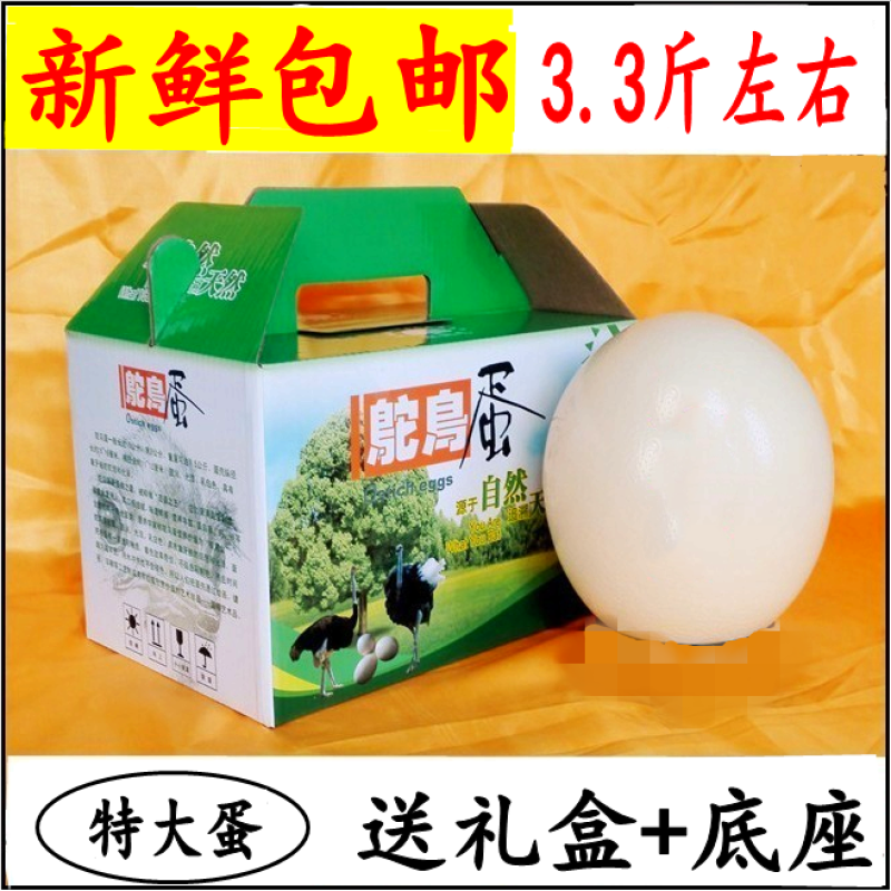 包邮新鲜食用鸵鸟蛋大号驼鸟蛋特大超大号蛋非洲鸸鹋蛋顺丰发