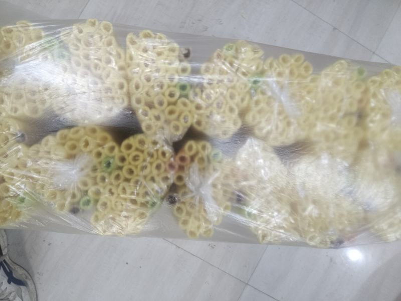 欢迎电商批发商前来合作