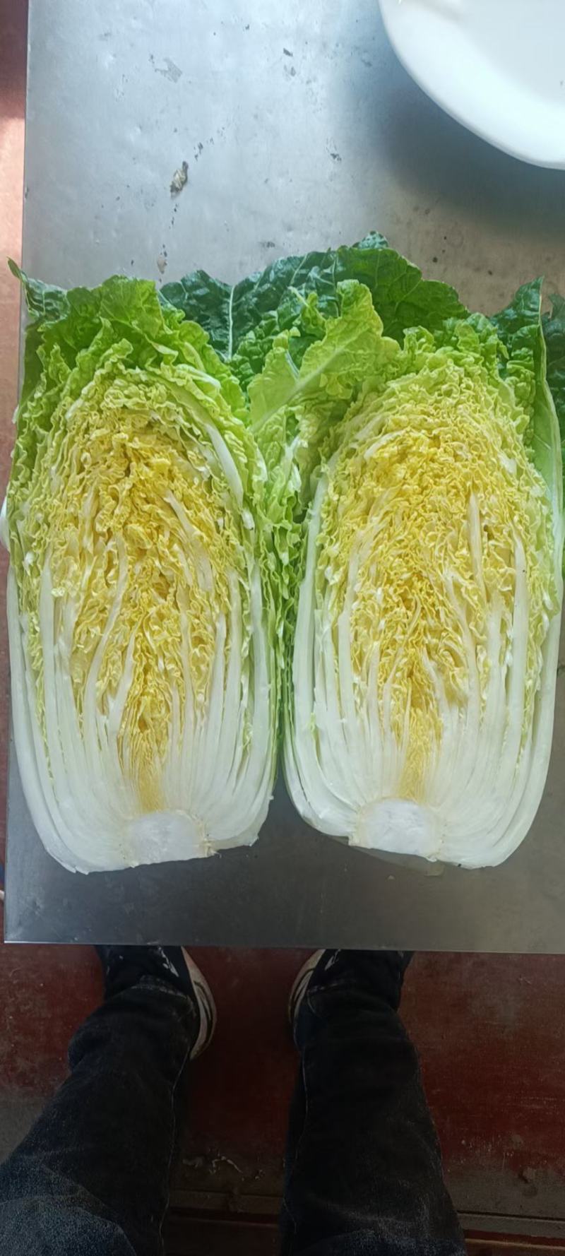 山东黄心白菜产地直发实力代办，保质保量，欢迎采购
