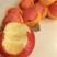 苹果山东红富士苹果口感脆甜产地供应全国发货品质保