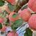 苹果山东红富士苹果口感脆甜产地供应全国发货品质保