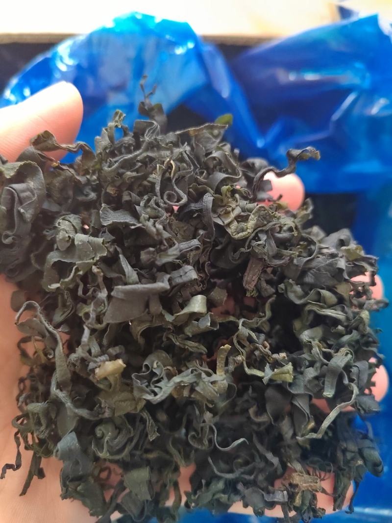 淡干裙带菜厂家赔钱卖吗每吨35000