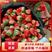 【产地直发】闻集奶油草莓天仙醉草莓大量供应