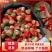 【产地直发】闻集奶油草莓天仙醉草莓大量供应