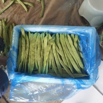 豆角山东豆角提供透多样货量充足纸箱泡沫箱周包装