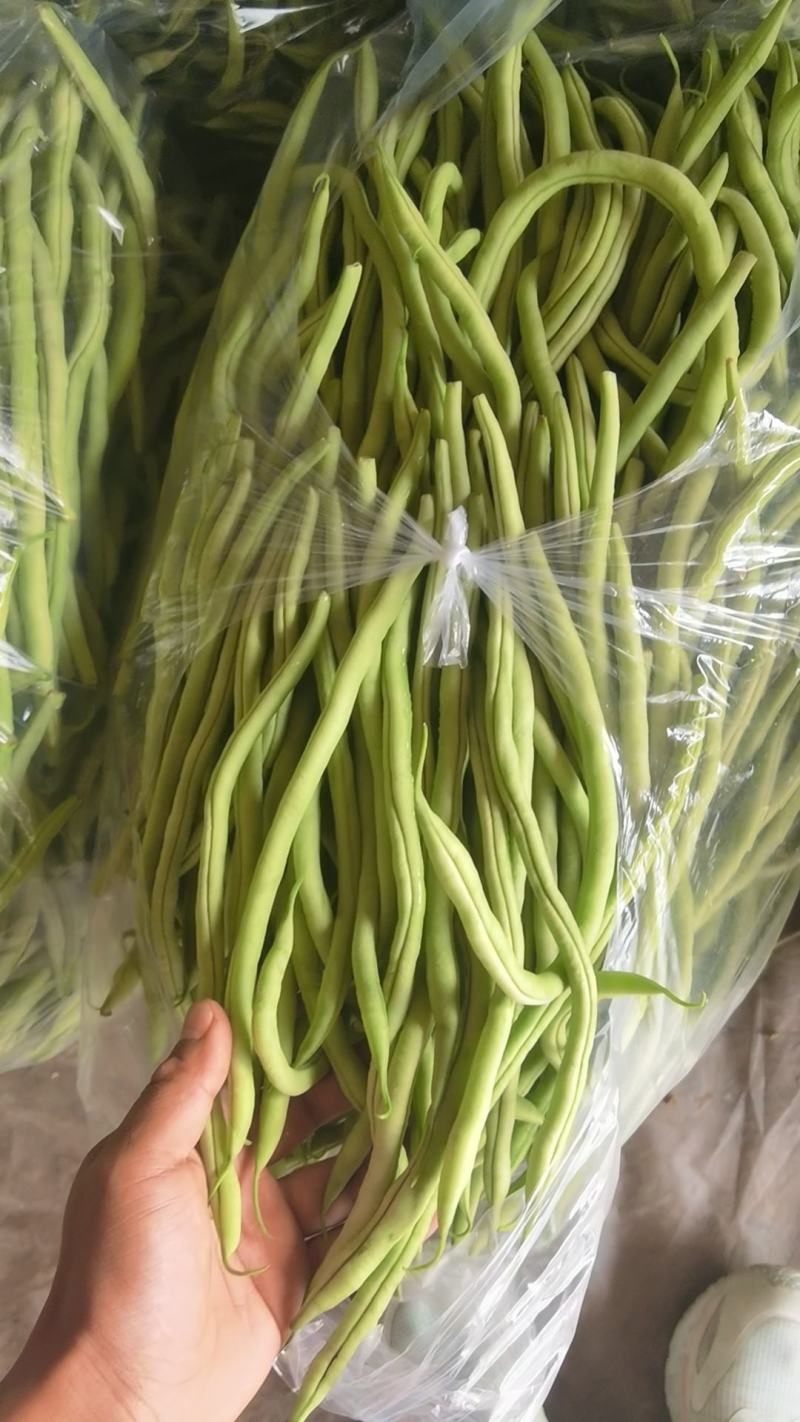 豆角山东豆角提供透多样货量充足纸箱泡沫箱周包装