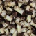 一级赤松茸5斤装