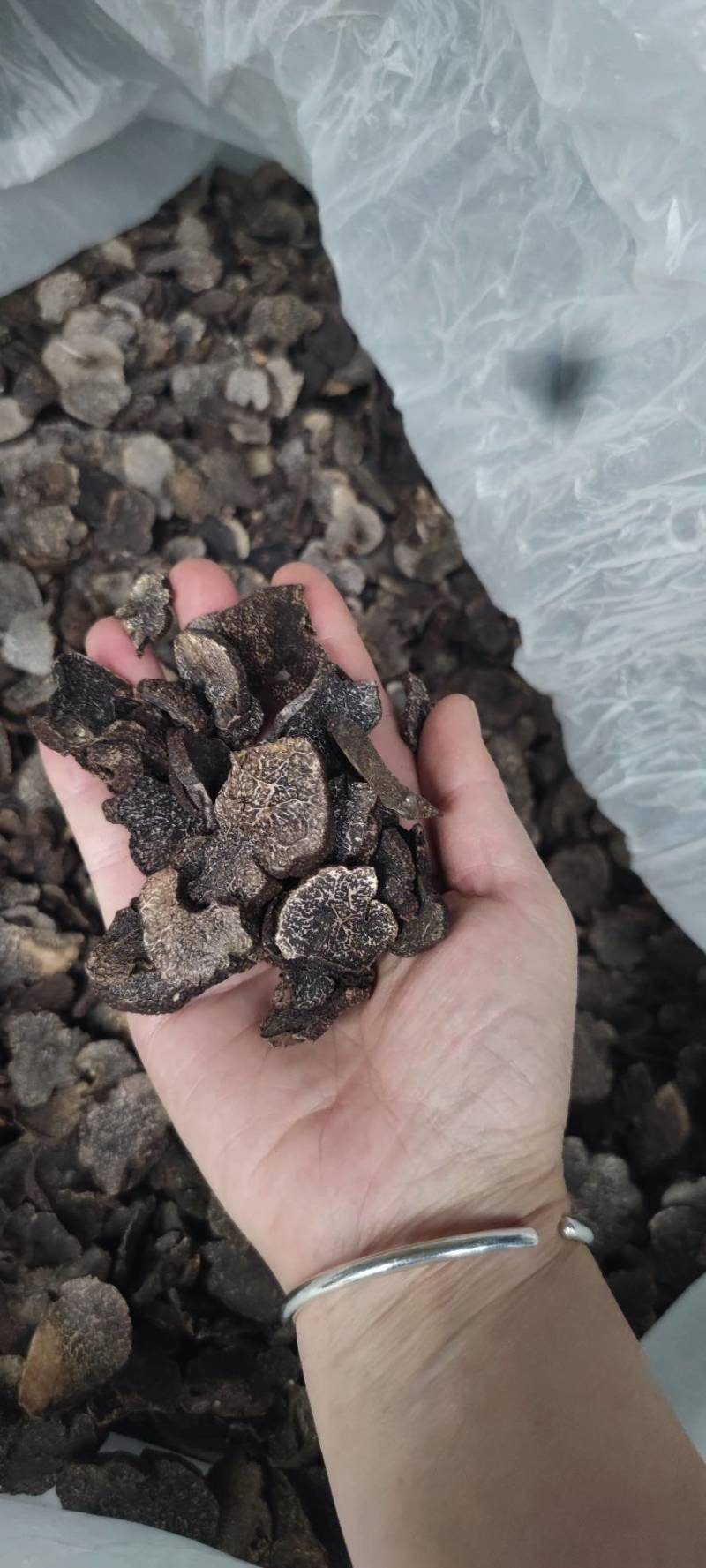 云南高黎贡山黑松露干片上市了,中片过筛