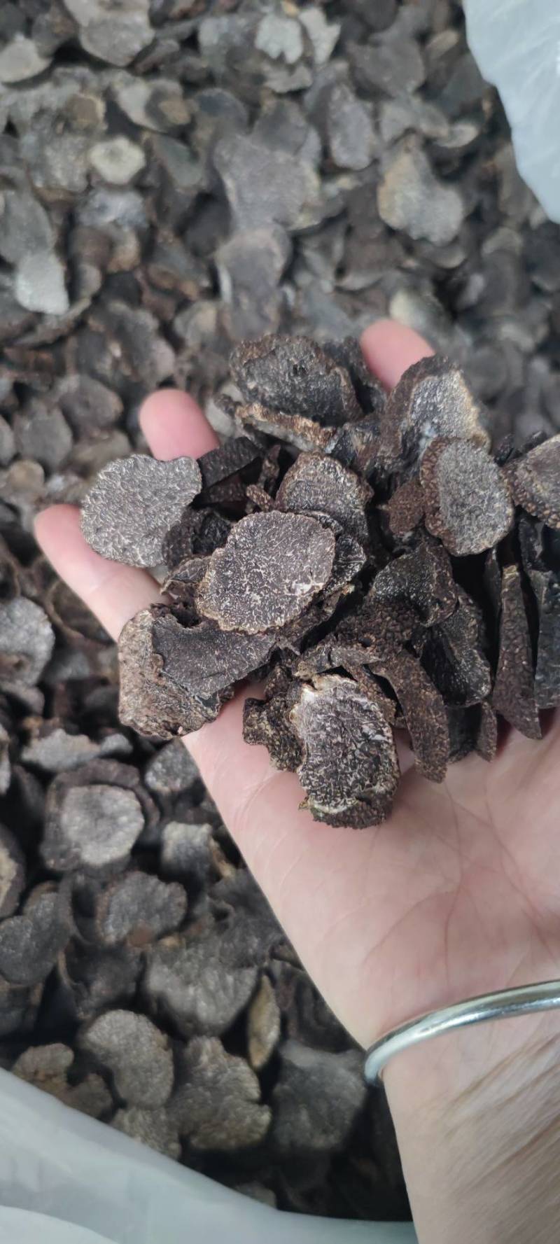 云南高黎贡山黑松露干片上市了,中片过筛