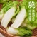 安徽砀山儿菜大量现货，新鲜产地直发，货源充足，量大优惠
