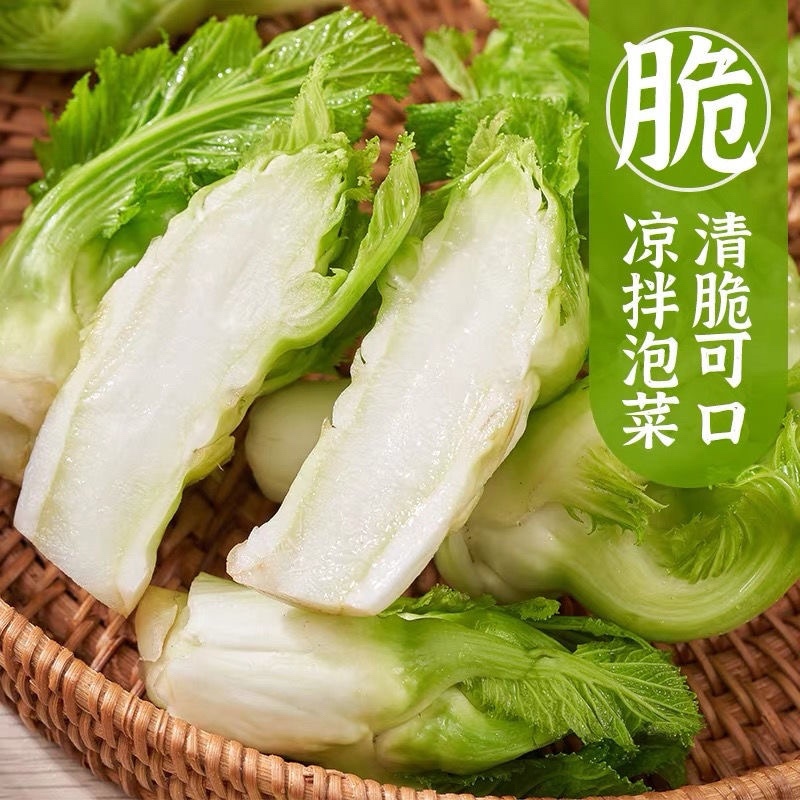 安徽砀山儿菜大量现货，新鲜产地直发，货源充足，量大优惠
