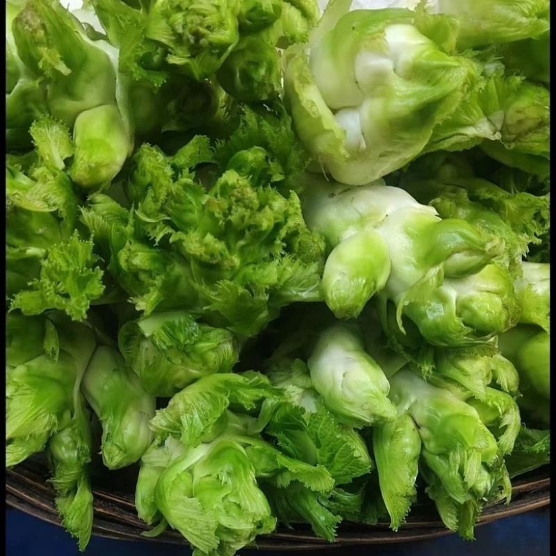 安徽砀山儿菜大量现货，新鲜产地直发，货源充足，量大优惠