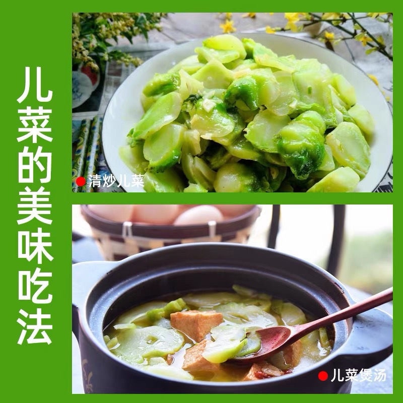 安徽砀山儿菜大量现货，新鲜产地直发，货源充足，量大优惠