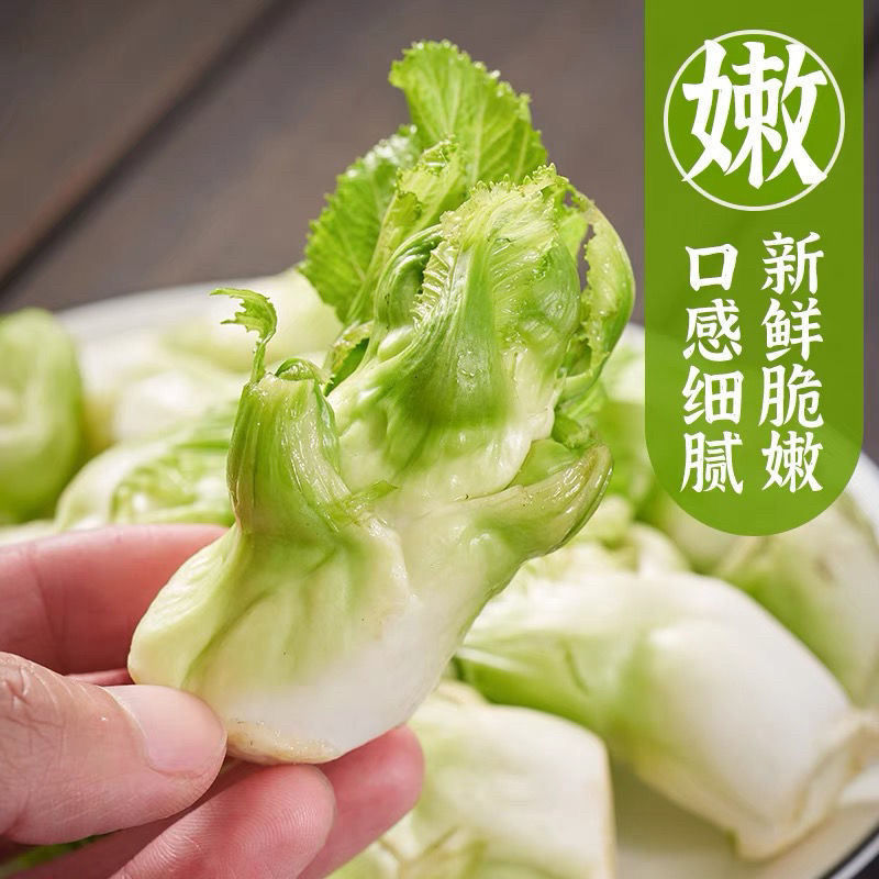 安徽砀山儿菜大量现货，新鲜产地直发，货源充足，量大优惠