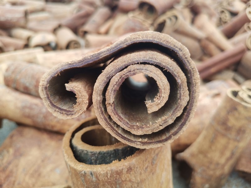 广西百年油桂香味足卤肉炖肉更好