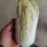 精品娃娃菜大量有货，无黑点无虫眼，需要的提前联系价格合适