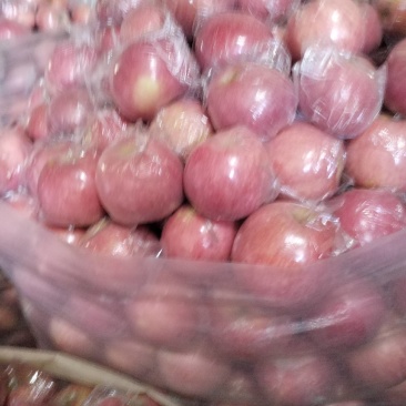 灵宝
