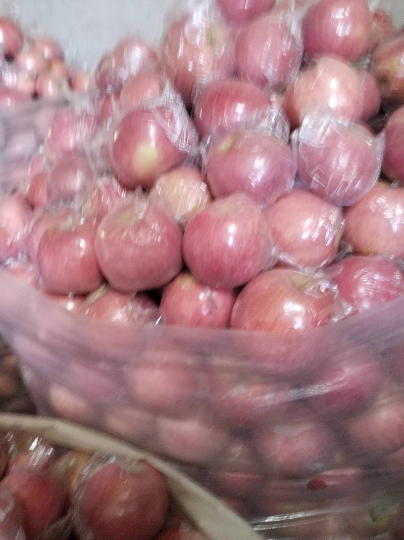 灵宝