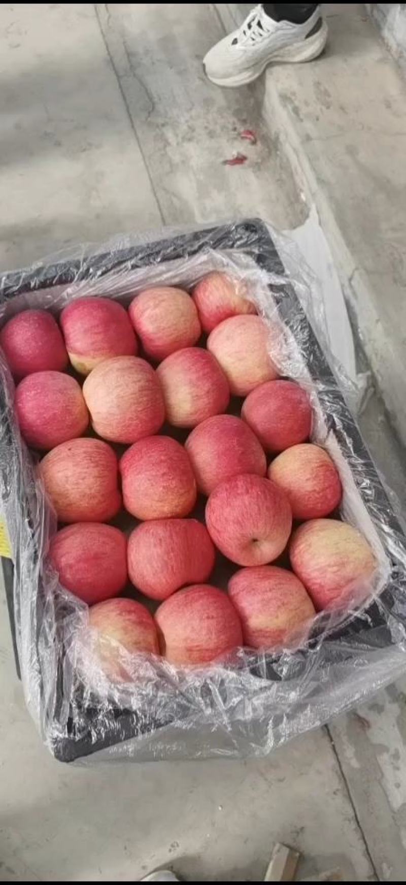 山东纸袋红富士苹果大量供应。保质保量支持全国发货