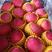 山东纸袋红富士苹果大量供应。保质保量支持全国发货