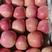 山东纸袋红富士苹果大量供应。保质保量支持全国发货