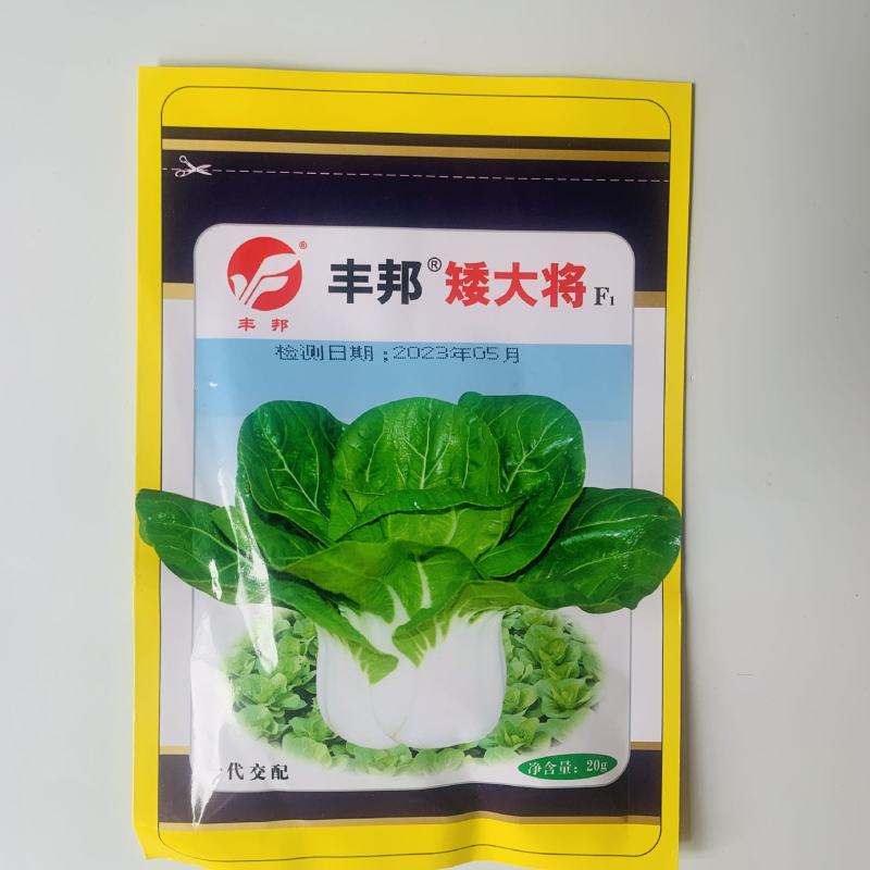 正宗矮脚黑叶苏州青种子矮脚黑大头油亮青帮四季耐寒上海青菜