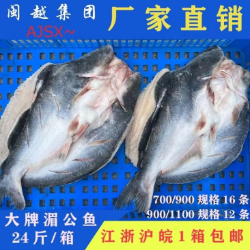 开背巴沙鱼专用烤鱼纸包鱼商用冷冻龙利鱼整条湄公鱼凌波鱼