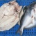 开背巴沙鱼专用烤鱼纸包鱼商用冷冻龙利鱼整条湄公鱼凌波鱼