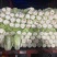 《精选》山东聊城大棚黄心白菜,大量出售批发超市,市场批发