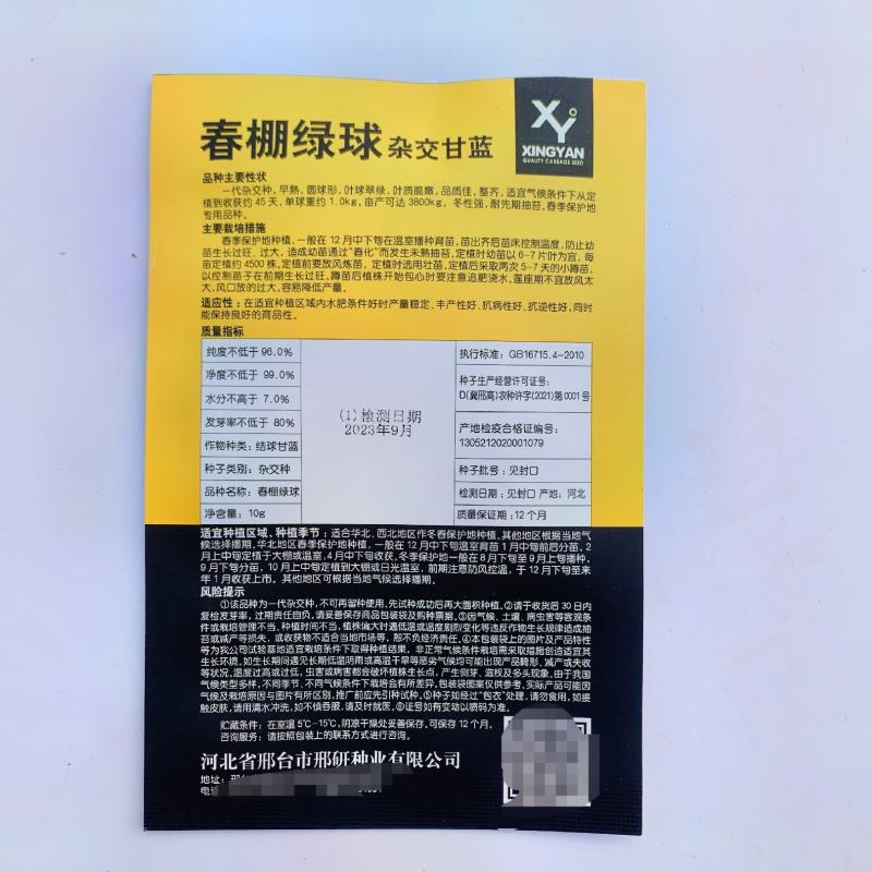 春棚绿球杂交甘蓝种子大头菜包心菜种子籽早熟45天杂交甘蓝