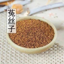 中药材批发野生菟丝子兔丝子菟丝子菟丝子茶新货