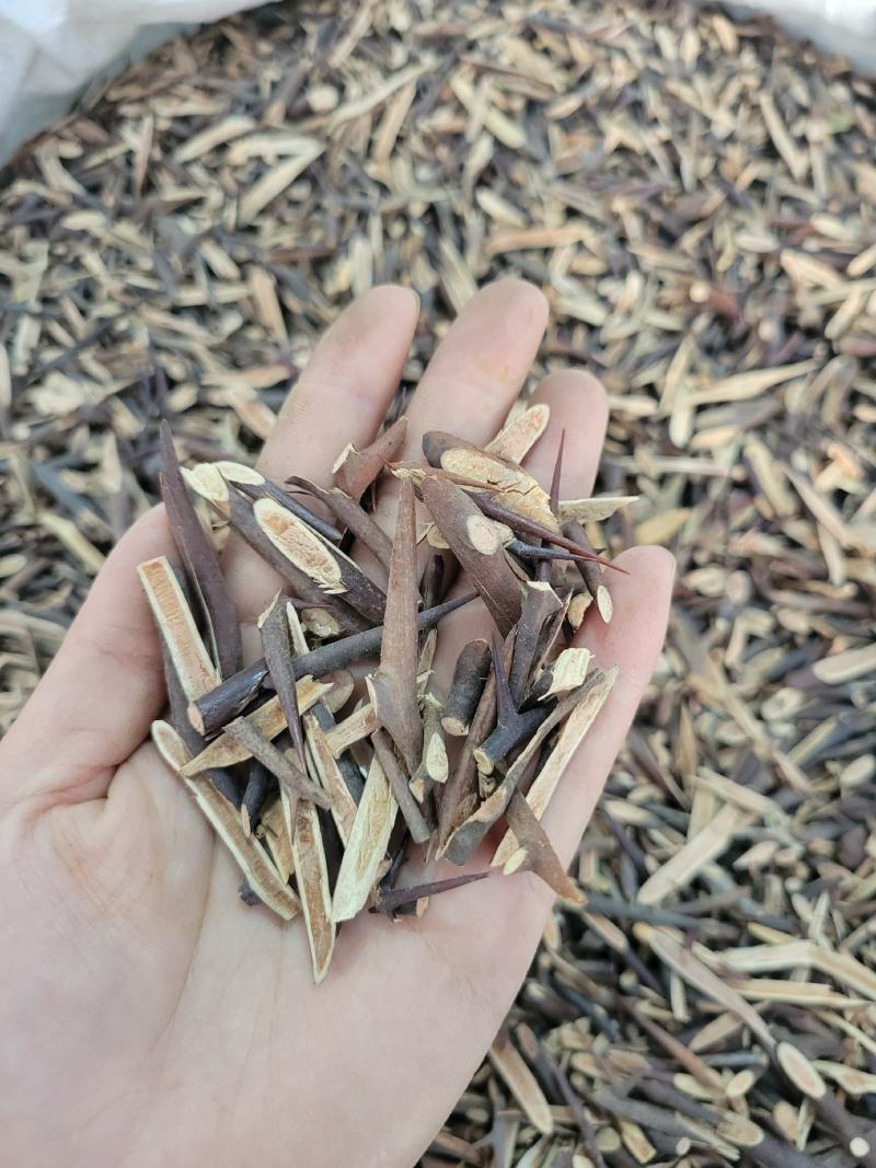 皂刺皂针皂刺片多种规格大货供应七彩百草中药材批发