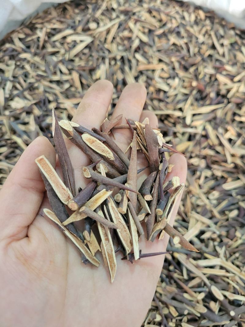 皂刺皂针皂刺片多种规格大货供应七彩百草中药材批发