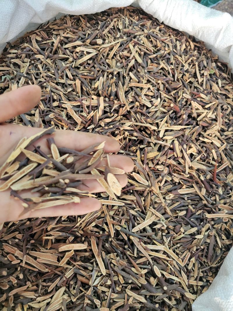 皂刺皂针皂刺片多种规格大货供应七彩百草中药材批发