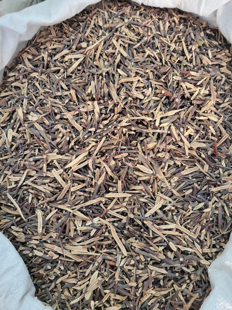 皂刺皂针皂刺片多种规格大货供应七彩百草中药材批发
