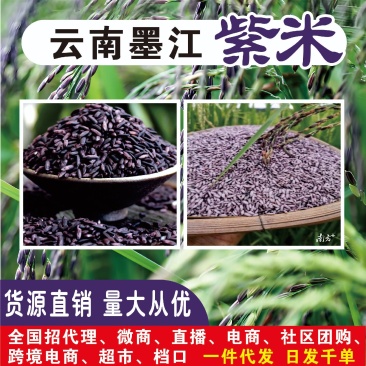 墨江紫米碎米，煲汤煮粥！出货…供货中…
