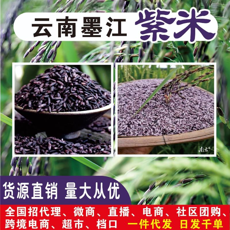 墨江紫米碎米，煲汤煮粥！出货…供货中…