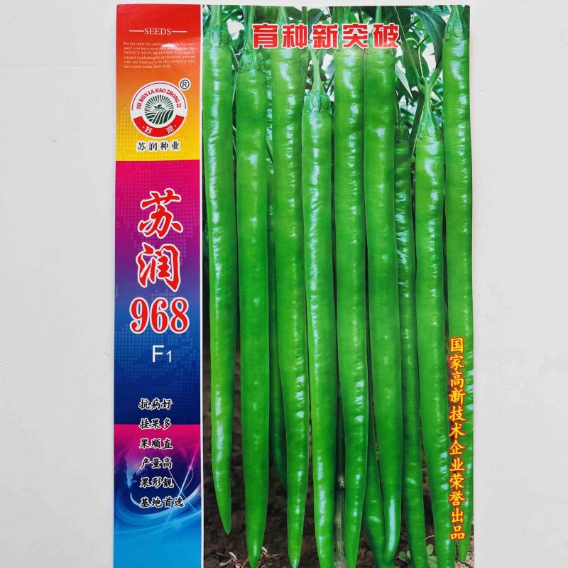 苏润968线椒种子早熟杂交一代青皮青线椒种子品种抗病性强