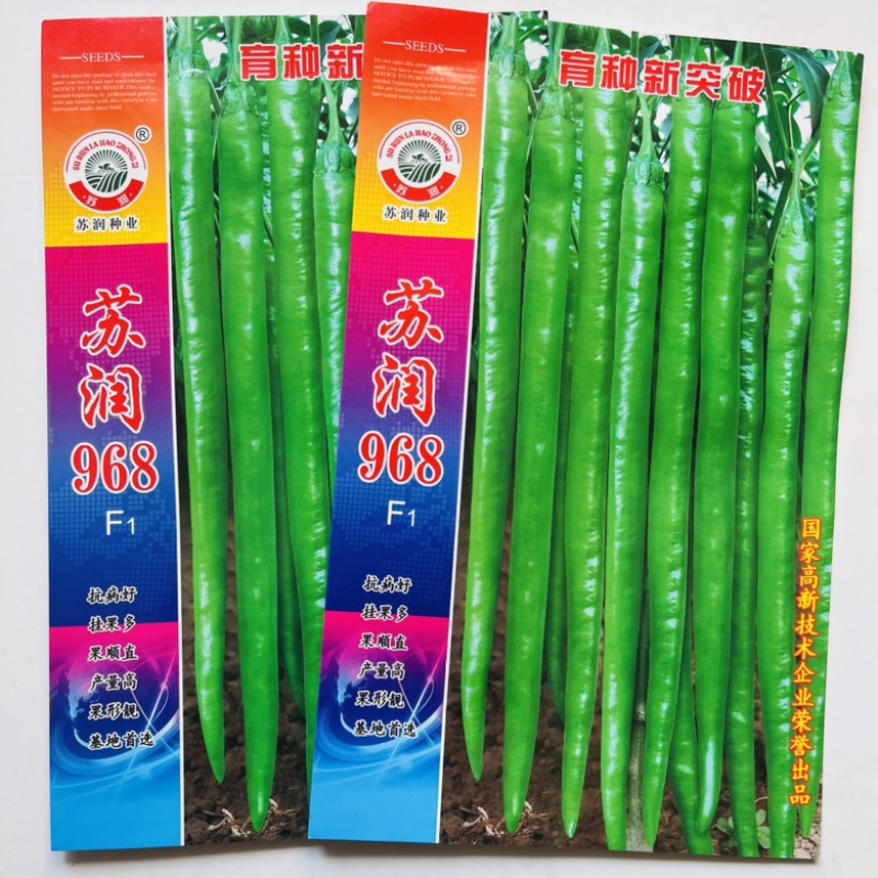 苏润968线椒种子早熟杂交一代青皮青线椒种子品种抗病性强