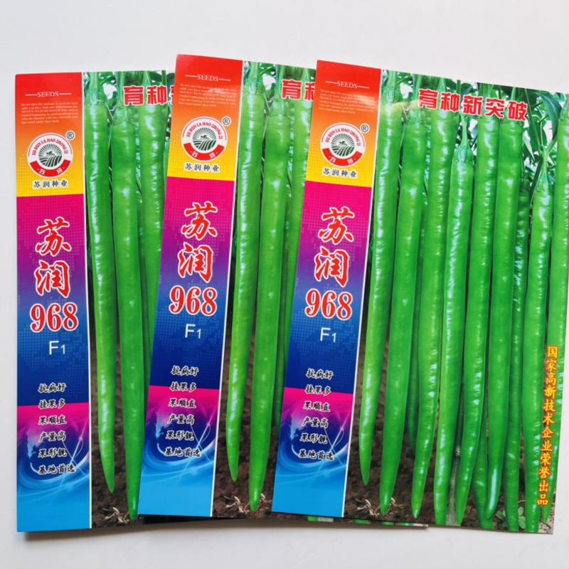 苏润968线椒种子早熟杂交一代青皮青线椒种子品种抗病性强