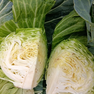 奥奇娜，扁包菜。