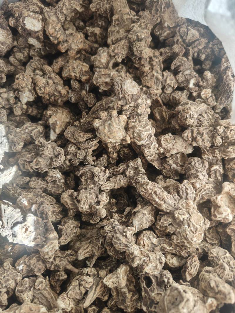 条形朱砂点苍术统货